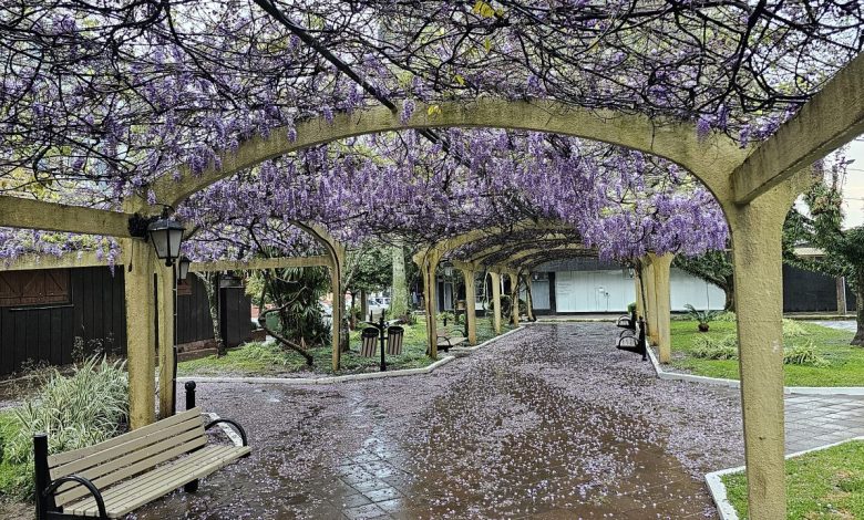 Previsão do tempo Veranópolis centro da cidade